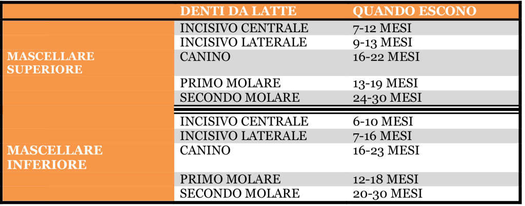 Tabella crescita denti da latte